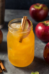 Cold Refreshing Apple Cider Cocktail