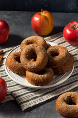 Sweet Homemade Apple Cider Donuts