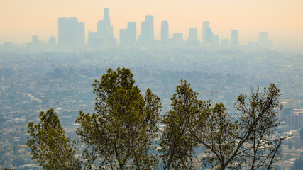 Fototapeta na wymiar Cityscape from Griffith Observatory in Los Angeles , California in September 2007