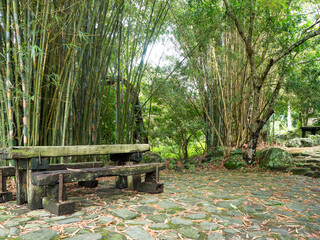 Stone path with bamboo trees at autumn garden