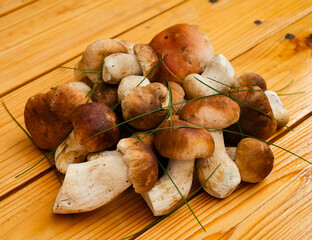 Heap of porcini mushrooms on wooden background