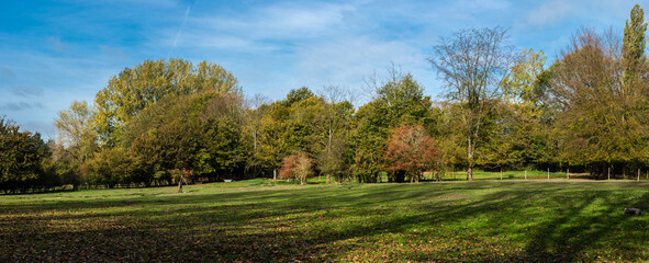 Scenic view over a city park in autumn in Jette, Brussels.