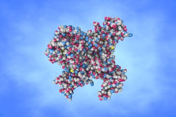 Molecular model of interleukin-15 (IL-15) quaternary complex. IL-15 is a member of the interleukin-2 family that secreted by mononuclear phagocytes after infection with viruses. 3d illustration