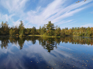 The mirror surface of a forest lake, in which trees with yellowing leaves and the sky with beautiful clouds are reflected.