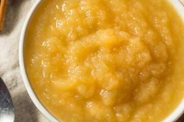 Healthy Organic Raw Apple Sauce