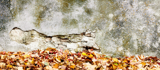 Postarzana naturalna tekstura ściany z tłem jesiennych barwnych opadniętych  liści. Panorama.