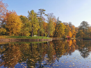 Autumn in the park. Trees with bright, falling leaves grow on the shore of the pond and are reflected in its water.