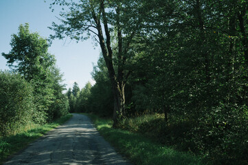 Fototapeta premium Exploring roads less ridden, little adventures around hometown