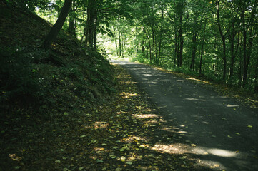Exploring roads less ridden, little adventures around hometown