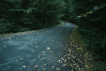 Exploring roads less ridden, little adventures around hometown