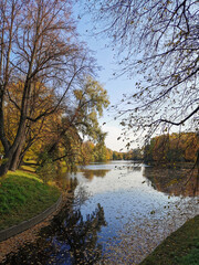 The shore of a pond in a park with trees bent over the water and reflected in it.