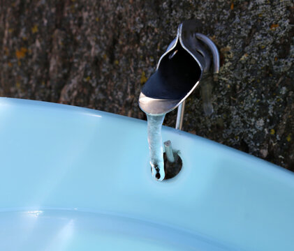 Frozen sap hanging from spile  in Maple tree