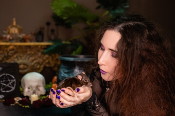 Portrait of a witch in black clothes with disheveled hair with a rat in her hands. Halloween celebration concept.