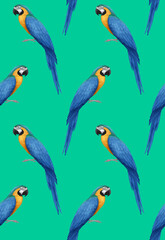 Obraz premium Seamless Pattern with hand-drawn Parrot, digitally colored