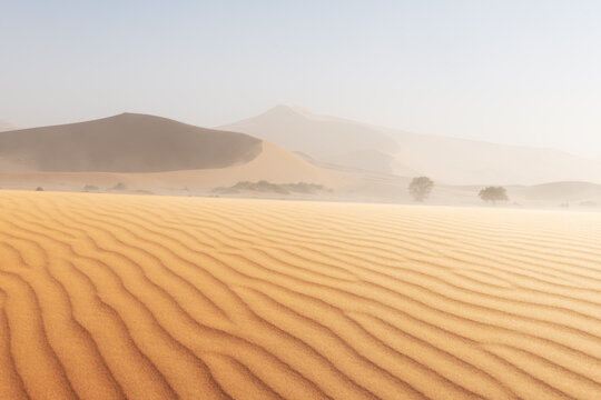 Orange sand dunes and clear sky in Namib desert at Namib-Naukluft National Park of Namibia, Africa. Landscape photography
