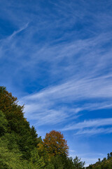 Obraz premium clouds over the forest