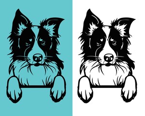 Border Collie Dog vector Design | Editable file  - obrazy, fototapety, plakaty