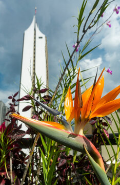 Medellin, Antioquia. Colombia - October 06, 2021. Centro Coltejer is a building located in the city of Medell&iacute;n, symbol of the city.