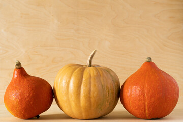 Three pumpkins sitting in a row on yellow wooden background