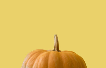 Pumpkin on yellow background. Yellow pumpkin. Autumn concept, thanksgiving day.Place for text