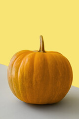 Pumpkin on a grey and yellow background. Yellow pumpkin. Autumn concept, thanksgiving day