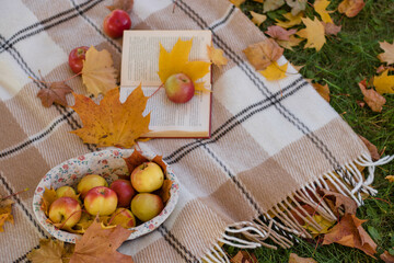 autumn still life with apples and leaves