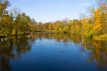 autumn trees reflected in water