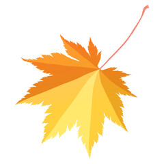 Colorful elm leaf in autumn color isolated on white background. Cartoon flat style vector illustration.