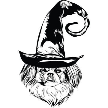 recommend clip art: pekingese Dog in Witch Hat for Halloween