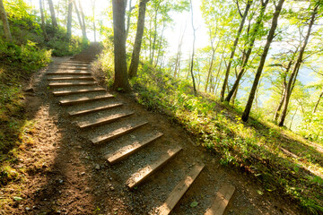 Wooden steps at an incline through forest