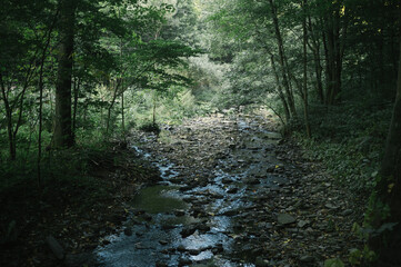 Obraz premium Exploring roads less ridden, little adventures around hometown