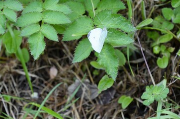 San Juan de Gaztelugatxe, Espa&ntilde;a. Precioso lugar de la costa vasca.