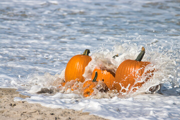 Pumpkins in the waves, on the sand, at the beach