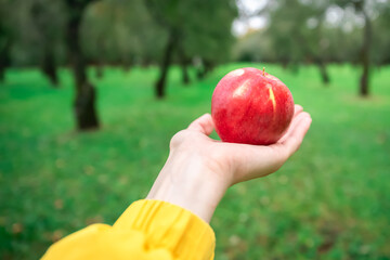 Outstretched hand with a yellow sleeve with a red apple in the palm