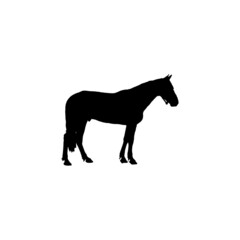Horse icon. Simple style horse sport poster background symbol. Horse logo design element. T-shirt printing. Vector for sticker.