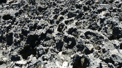 Abstract background of coral on a Caribbean island