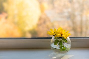 Bouquet of sunflowers on the window at home. concept of natural and decoration.