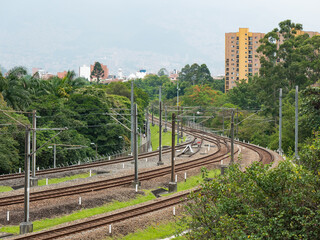 The Subway Tracks Surrounded by Trees and a Lot of Vegetation