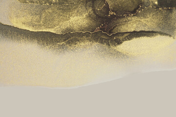 Art Abstract black, beige and gold glitter color horizontal watercolor background. Marble texture. Alcohol ink.