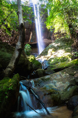 A small waterfall in the middle of the forest
