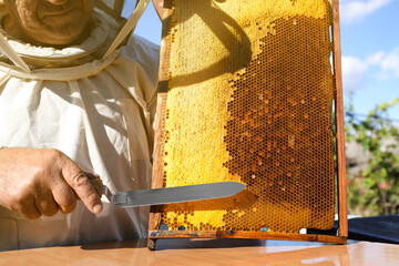 Senior beekeeper uncapping honeycomb frame with knife at table outdoors, closeup