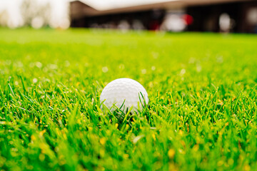 golf ball on the green grass. country club for golfers. 