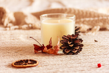 White candle in a glass, a red dry leaf, cones and dry citrus décor on white knitted background, interior details for cozy home decor