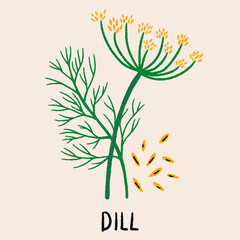Dill branch, flower and seeds. Herb isolated illustration in flat style