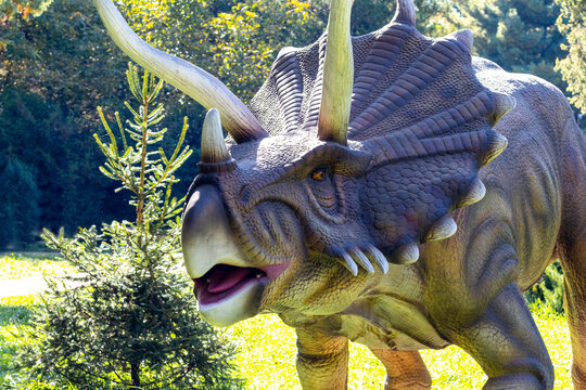 Ukraine, Khmelnytsky region, October 2021. Dinosaur model in the park. Giant triceratops on exhibition in the park on a summer sunny day