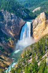 Fototapeta na wymiar Yellowstone Falls: River, Grand Canyon, National Park, Montana MT