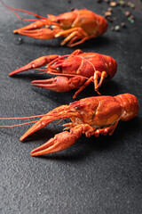 crayfish red fresh boiled seafood crustaceans meal snack on the table copy space food background rustic 