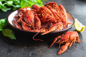crayfish red fresh boiled seafood crustaceans meal snack on the table copy space food background rustic 