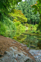 Seattle Garden Pond 3