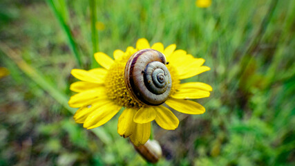 Home sweet home  © Krzesimir